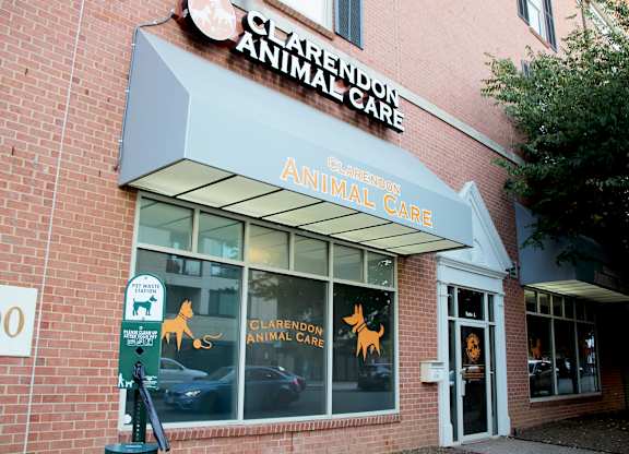 A Clarendon Animal Care storefront with a parking meter in front.