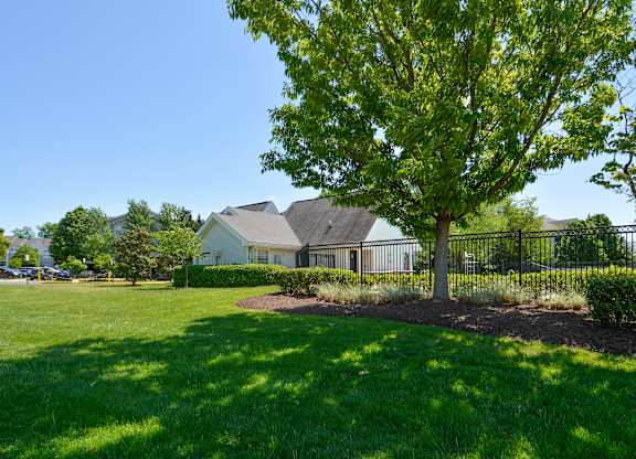 A tree in a grassy field with a house in the background.