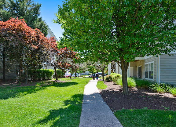 A tree with green leaves is in the foreground of a residential area.