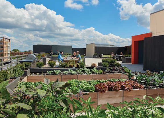 A group of people are sitting on a rooftop garden.