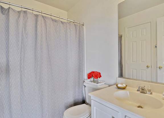 A bathroom with a white toilet, sink, and shower curtain.