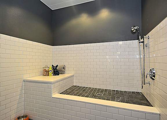 A bathroom with a shower and a tiled wall.