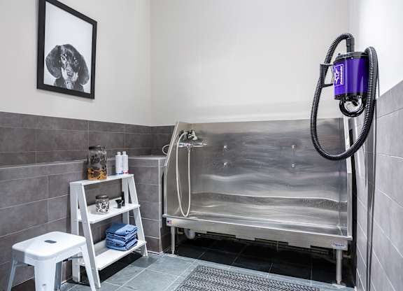 A bathroom with a grey tiled wall and a white toilet.