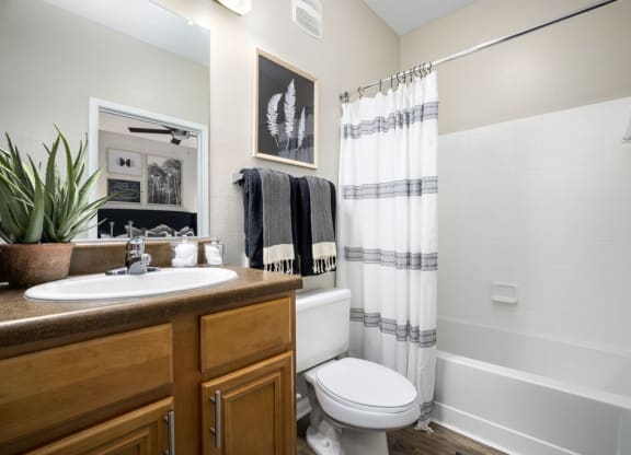 Bathroom With Bathtub at Tradition at Stonewater, Cary, North Carolina