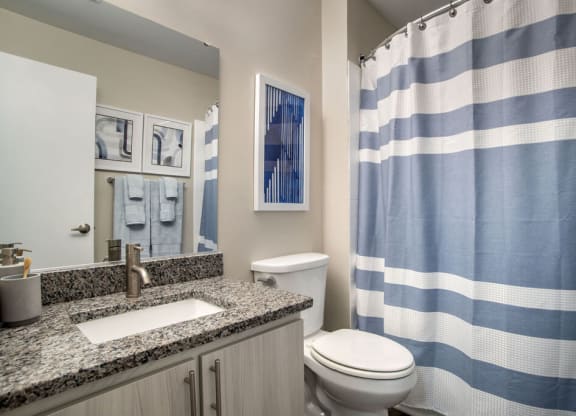 Renovated bathroom with updated vanity at Elme Manassas, Manassas, VA, 20109