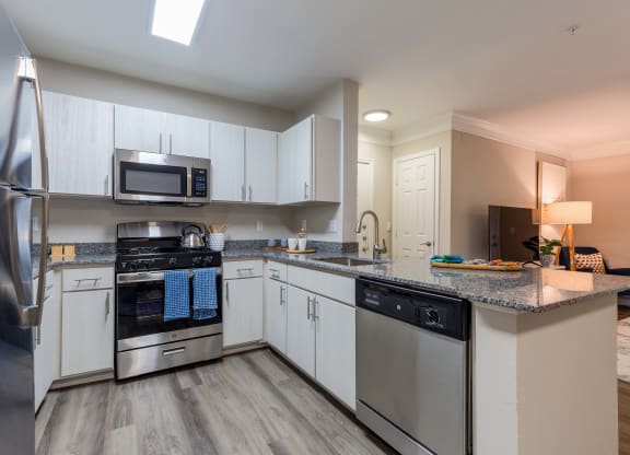 Renovated kitchen with stainless steel appliances and granite counter tops at Elme Dulles, Herndon, VA