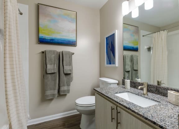 Renovated bathroom with updated vanity and shower at Elme Dulles, Herndon, VA