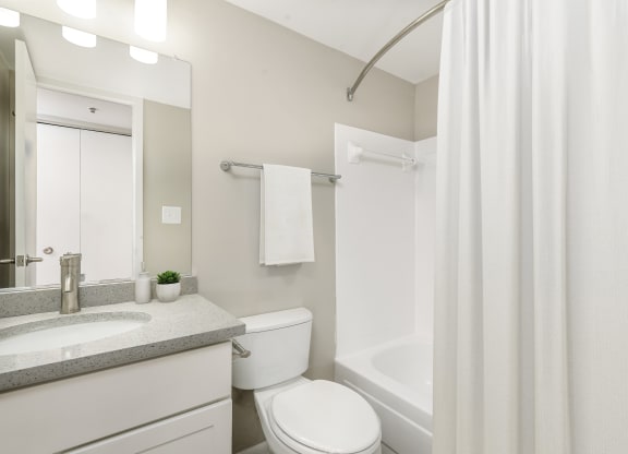 Renovated bathroom with updated vanity and shower at Cascade at Landmark, Alexandria, VA, 22304