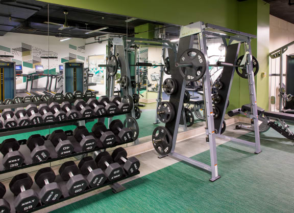 Free Weights at Cascade at Landmark, Virginia, 22304