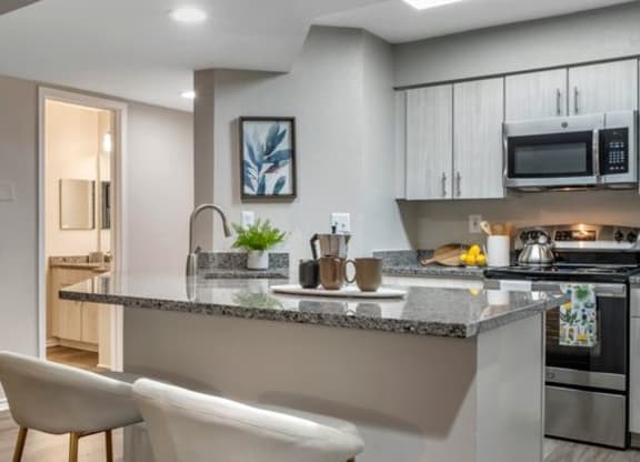 Renovated kitchen with stainless steel appliances and granite countertops at Elme Alexandria, Virginia