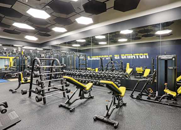 A gym with a variety of equipment including weights and benches at Elme Alexandria, Alexandria, 22304