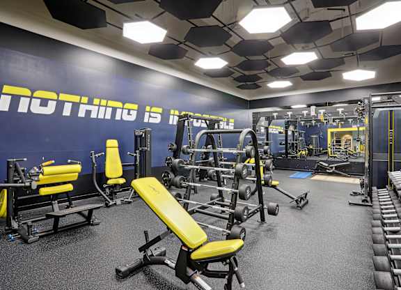 A gym with a blue wall and a yellow bench at Elme Alexandria, Alexandria, 22304