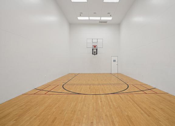A basketball court with a net and hoop in the middle of the court.