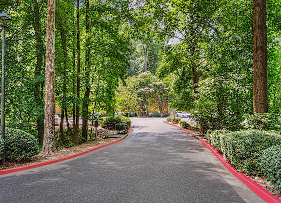 A tree-lined street with a red curb on the side.
