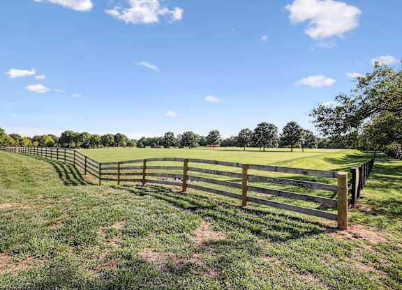 A wooden fence runs along a grassy field.