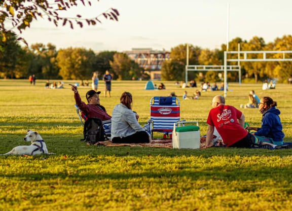 Picnic at The Paramount, Arlington, VA