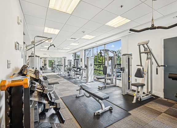 A gym with a variety of equipment including a squat rack, bench, and weights at Riverside Apartments, Alexandria, Virginia