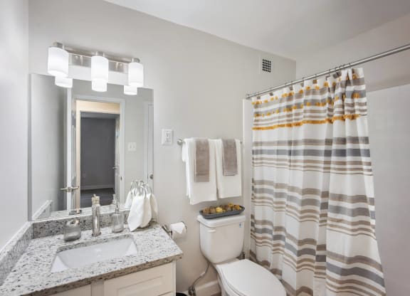 Renovated bathroom with updated vanity and shower and Roosevelt Towers, Falls Church, VA