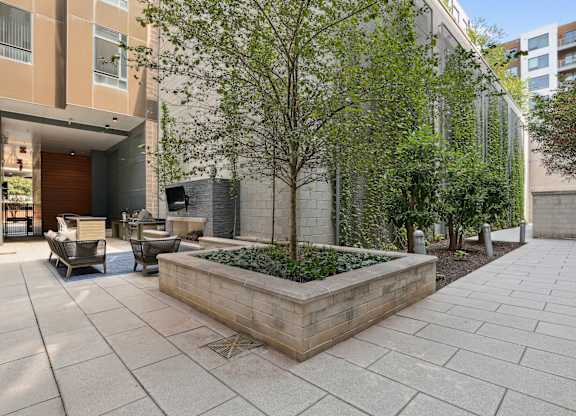 A modern courtyard with a tree in a planter.