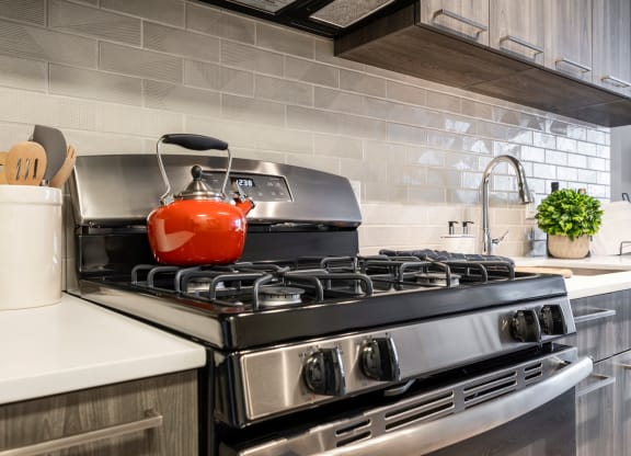 Kitchen Stove at Trove Apartments, Virginia