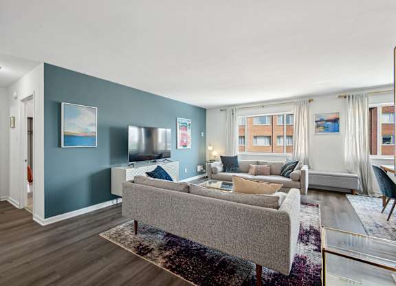 A living room with a grey couch and a rug.