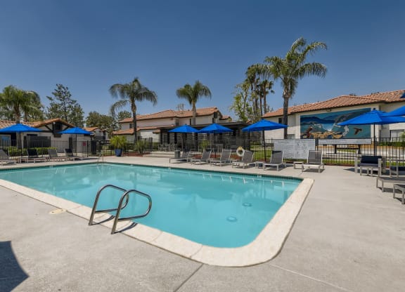 pool view at Sixteen60 Apartment Homes, California