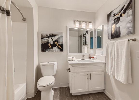 Sixteen60 bathroom view of platinum unit