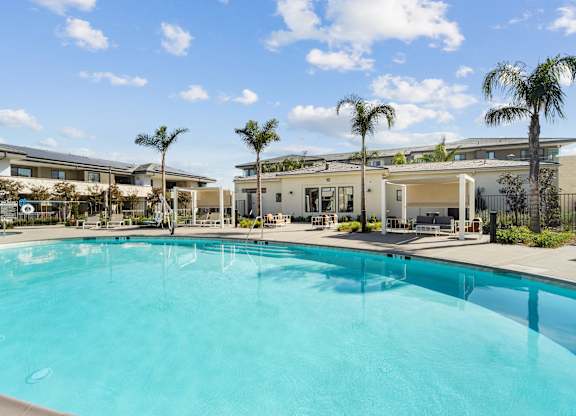 A large swimming pool in front of a building with palm trees at The Max on Jefferson Apartments, California