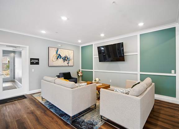 Comfortable lounge seating area in Turtle Creek community clubhouse with two sofas and a large tv