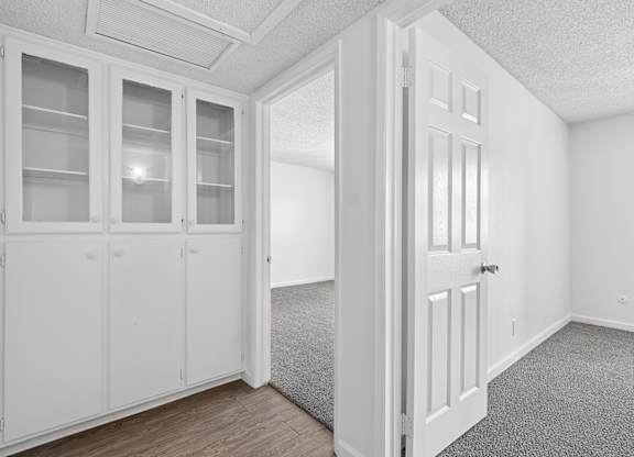 Cabinet unit in the hallway of 1005 Via Zapata apartment home with floor to ceiling cabinets. Bottom row has sold door and top row has shelving units and glass door for display
