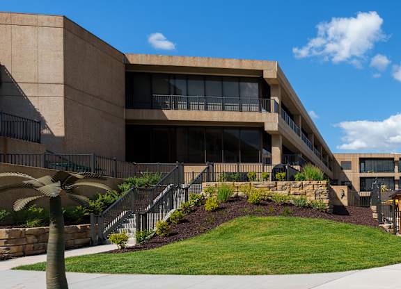 A modern building with a palm tree in front.