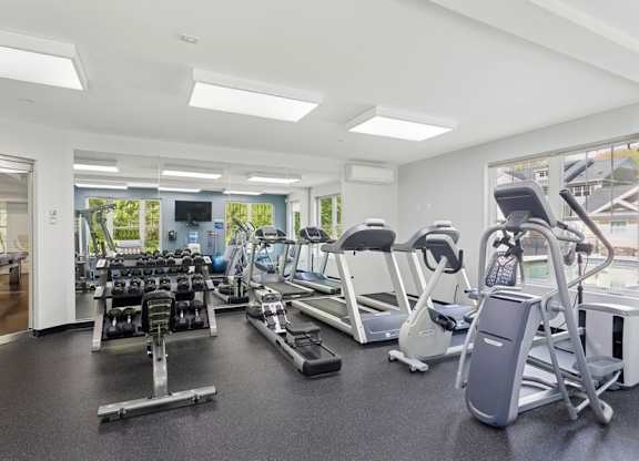 A gym with treadmills, weights, and exercise machines.