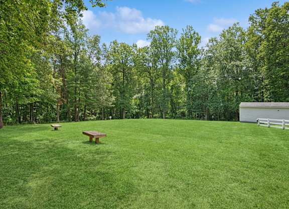 A green grass field with a bench and trees in the background.