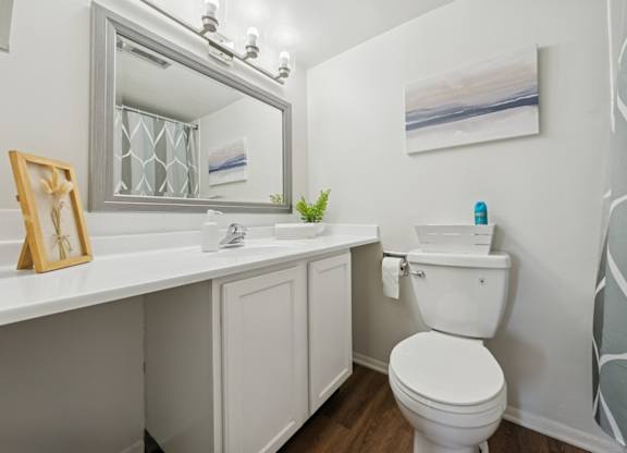 A white toilet sits next to a sink in a bathroom.