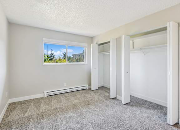 A room with a carpeted floor and a window showing a view of trees and a building outside.