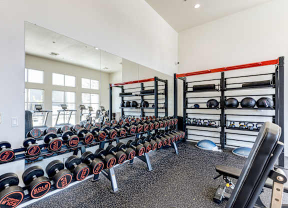A gym with a row of dumbbells and weight plates.