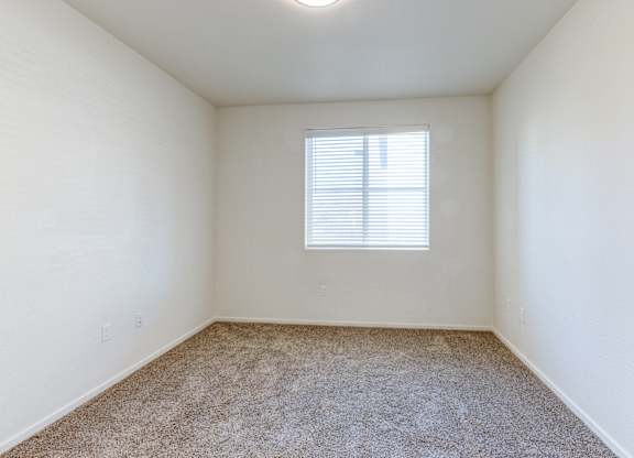 A room with a carpeted floor and a window with blinds.