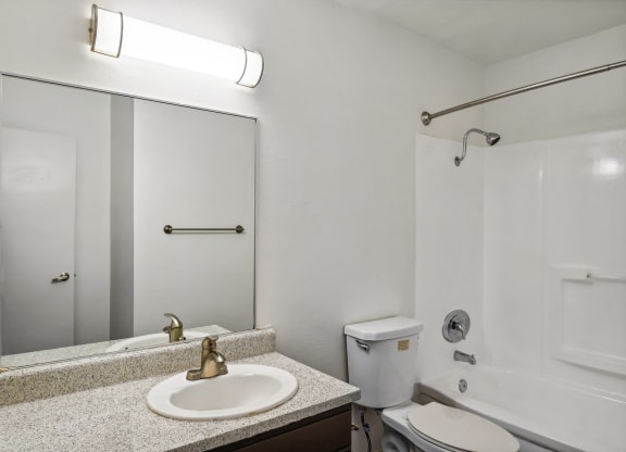 a bathroom with a sink and a mirror and a toilet