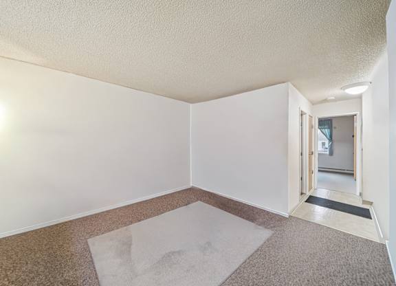 A room with a carpet and a rug in the middle.