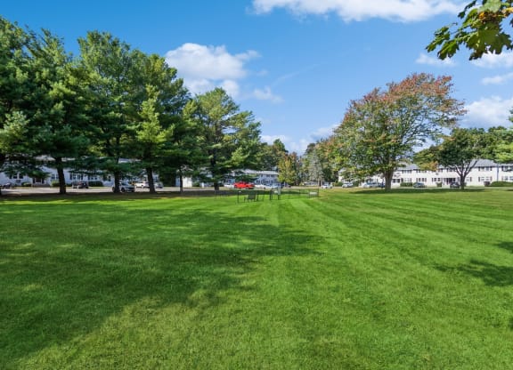 a large grassy park with trees and buildings in the backgroundat Fox Hill Commons, Vernon, CT, 06066