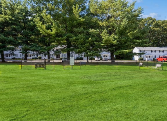 open park with pretty scenery and tall trees at Fox Hill Commons, Connecticut