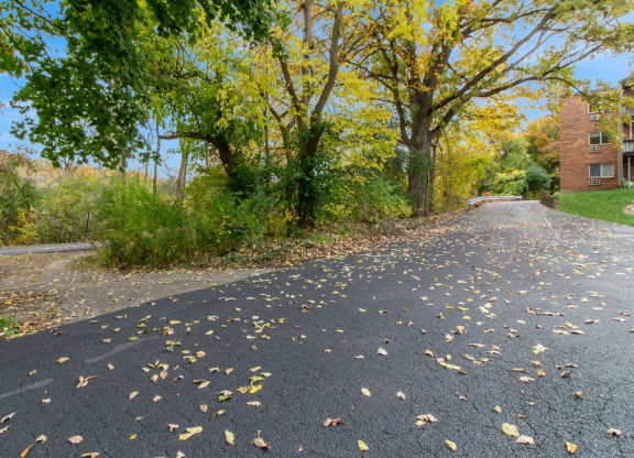a driveway with trees and leaves on the ground at River Oaks, North Aurora, 60542