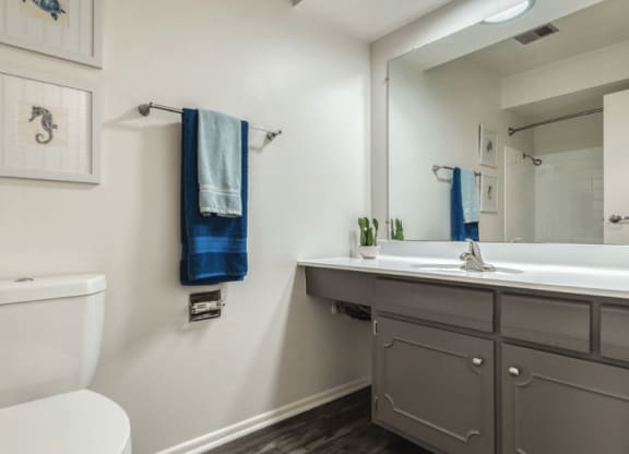 a bathroom with a toilet sink and mirror at St. Charles, St. Charles, IL