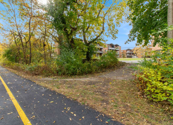 a path with trees on the side of a road at River Oaks, North Aurora, IL, 60542