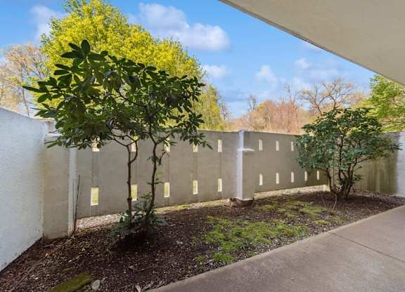 A small tree with yellow leaves is in a planter.