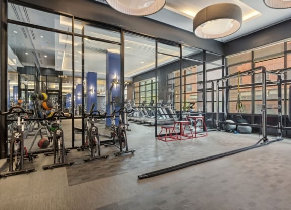 the gym is equipped with a variety of weights and exercise equipment