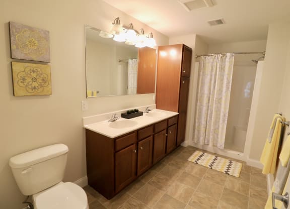 Interior image of apartment bathroom at Mallory Ridge, Bloomfield, 06002
