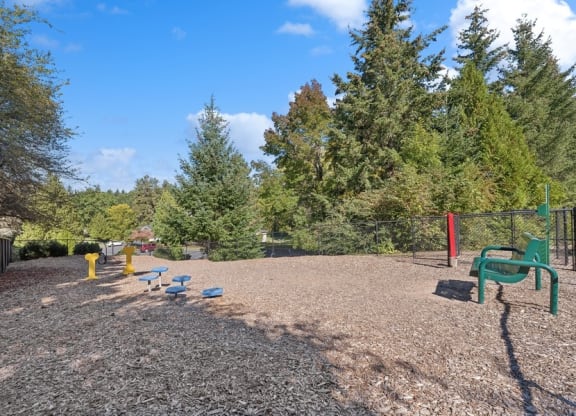 a park with a playground and trees