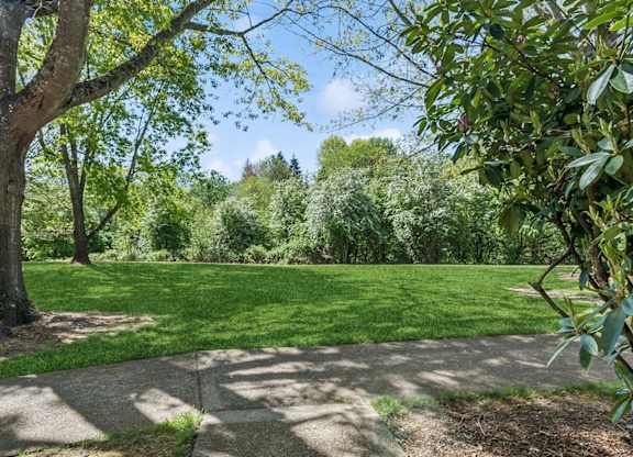 A tree with green leaves is in the foreground of a grassy area.