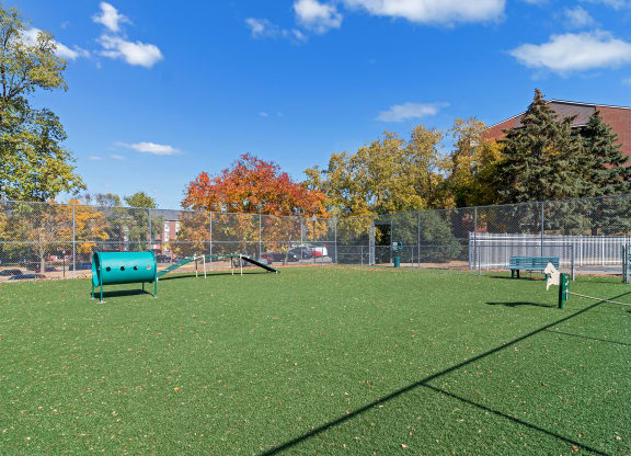 dog park at Twelve 501